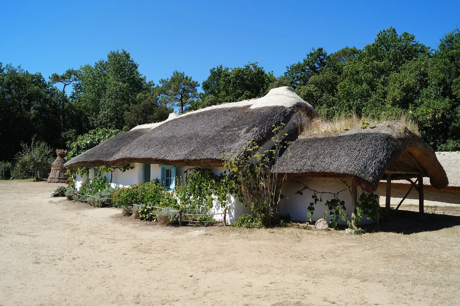 Bourrine du Bois-Juquaud — habitat traditionnel du marais