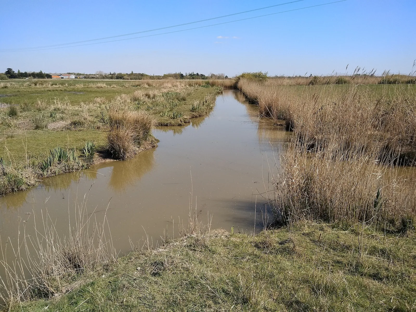 Marais Breton — étier et roselières à Sallertaine